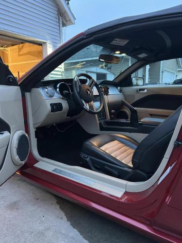 Interior view of a Mustang after car detail
